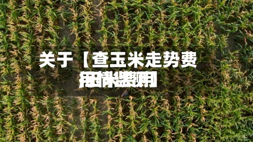 关于【查玉米走势费用
,玉米费用
行情监测】-第2张图片