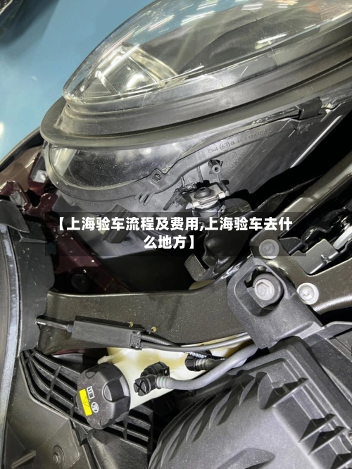 【上海验车流程及费用,上海验车去什么地方】