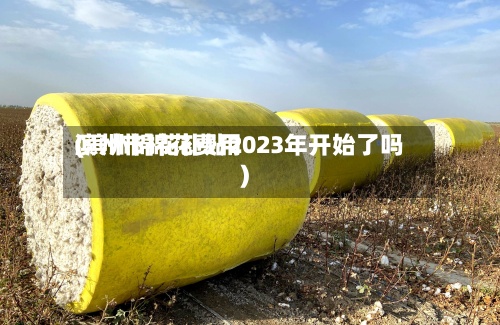 滨州市棉花费用(滨州棉花补贴2023年开始了吗)
