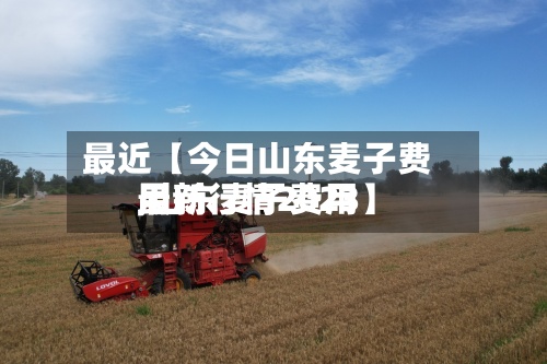 最近【今日山东麦子费用,山东麦子费用最新行情2023】