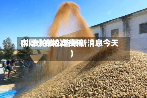 本周小麦拍卖费用(小麦拍卖公告最新消息今天)-第3张图片