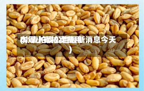 本周小麦拍卖费用(小麦拍卖公告最新消息今天)-第2张图片