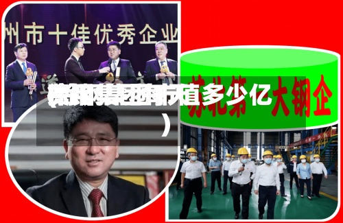 徐钢集团每天费用(徐钢集团市值多少亿)