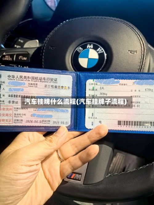 汽车挂牌什么流程(汽车挂牌子流程)-第3张图片