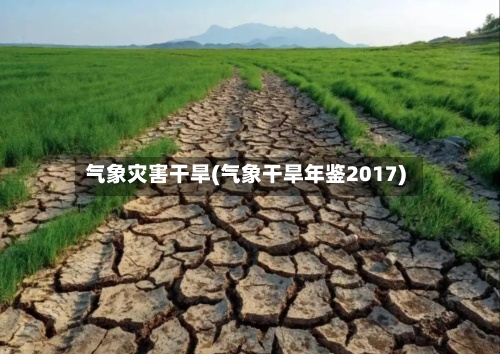 气象灾害干旱(气象干旱年鉴2017)