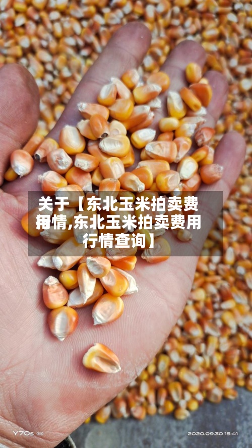 关于【东北玉米拍卖费用
行情,东北玉米拍卖费用
行情查询】-第2张图片