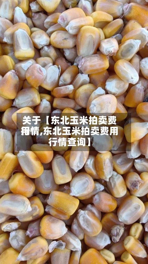 关于【东北玉米拍卖费用行情,东北玉米拍卖费用行情查询】