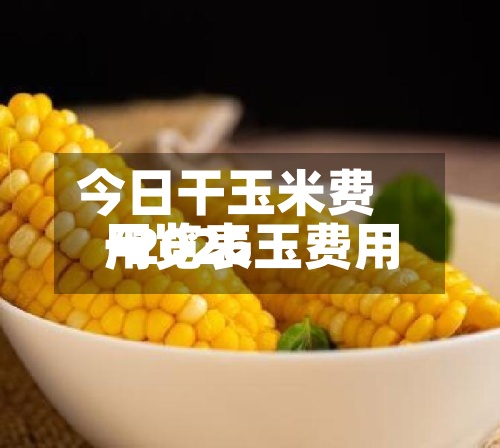 今日干玉米费用
/2026玉费用
一览表-第2张图片