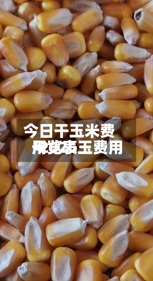 今日干玉米费用
/2026玉费用
一览表-第3张图片