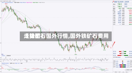【铁矿石国外行情,国外铁矿石费用走势图】