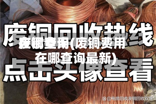 废铜费用在哪查询(废铜费用在哪查询最新)