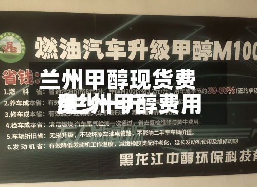 兰州甲醇现货费用/兰州甲醇费用多少一斤