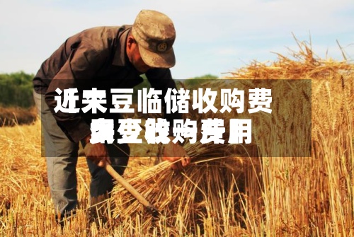 近来【大豆临储收购费用大豆收购费用多少钱一斤】