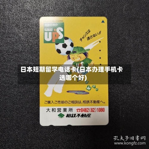 日本短期留学电话卡(日本办理手机卡选哪个好)-第2张图片