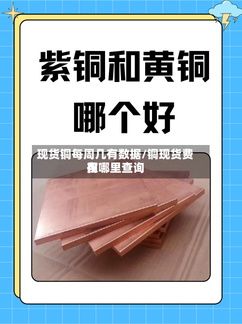 现货铜每周几有数据/铜现货费用
在哪里查询-第2张图片