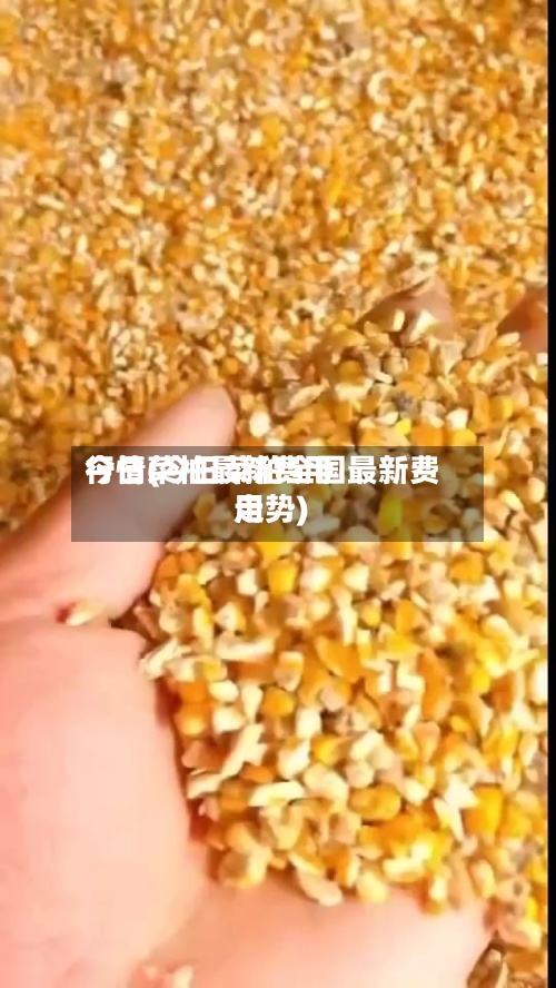 今日菜柏最新费用行情(今日菜粕全国最新费用走势)
