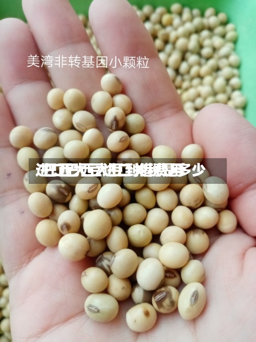 进口巴西大豆到港费用/巴西大豆进口关税是多少