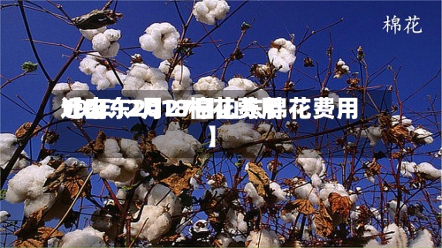 近来【山东2018棉花费用19年12月27日山东棉花费用】