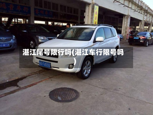湛江尾号限行吗(湛江车行限号吗)