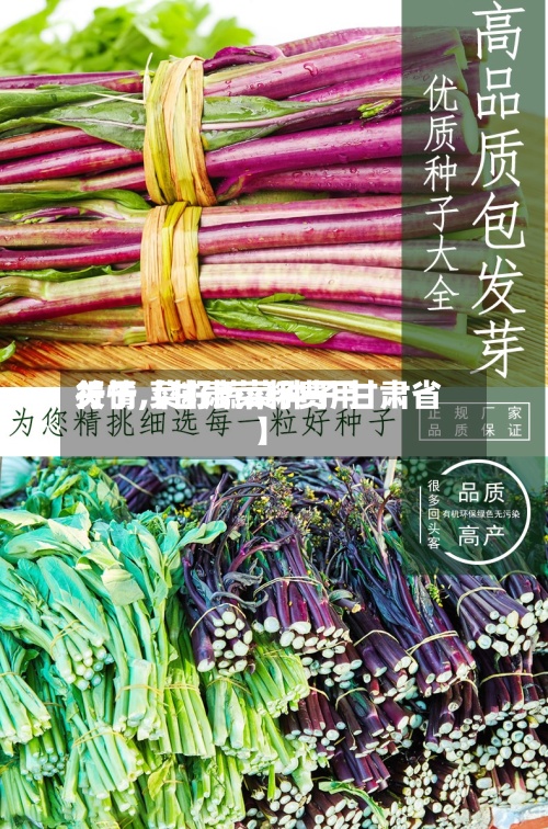 关于【甘肃菜籽费用
行情,菜籽蔬菜种子 甘肃省】-第3张图片