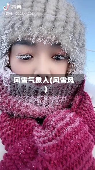 风雪气象人(风雪风)