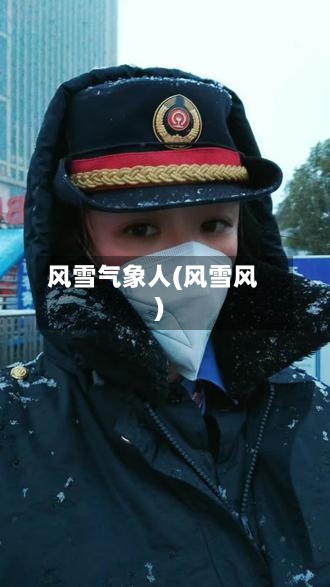 风雪气象人(风雪风)-第2张图片