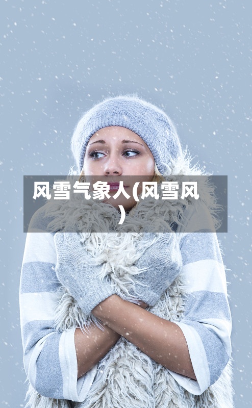 风雪气象人(风雪风)-第3张图片
