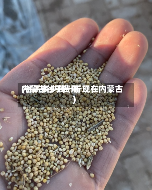 内蒙古谷子费用
(谷子多少钱一斤现在内蒙古)-第2张图片