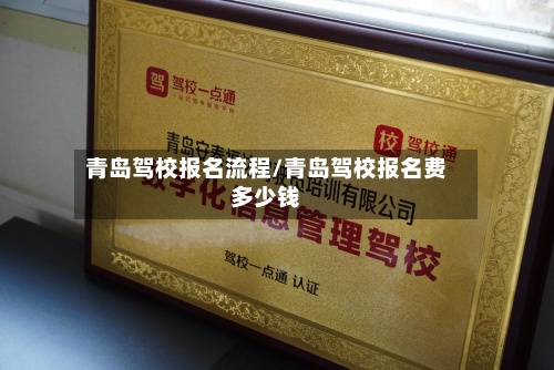 青岛驾校报名流程/青岛驾校报名费多少钱-第2张图片