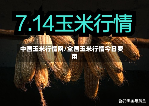 中国玉米行情网/全国玉米行情今日费用