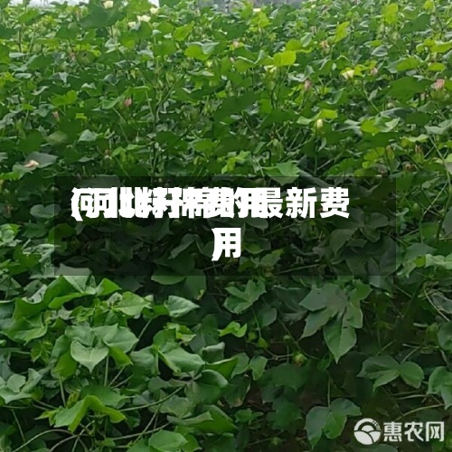 河北籽棉费用(河北籽棉的最新费用)
