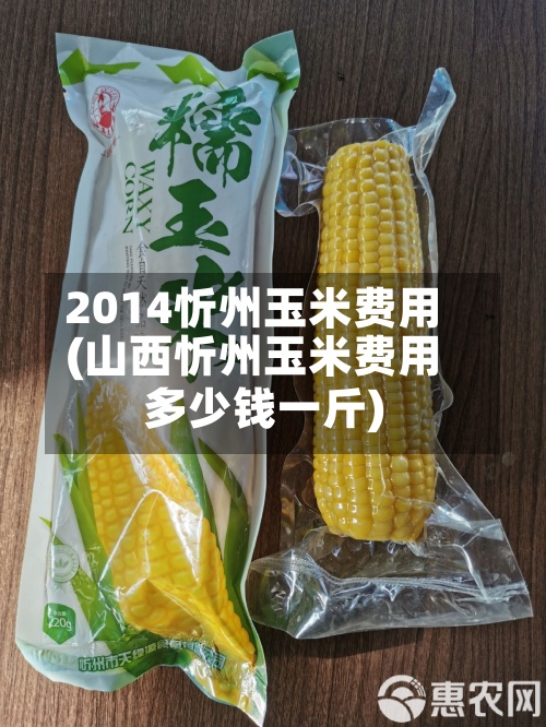 2014忻州玉米费用(山西忻州玉米费用多少钱一斤)-第2张图片