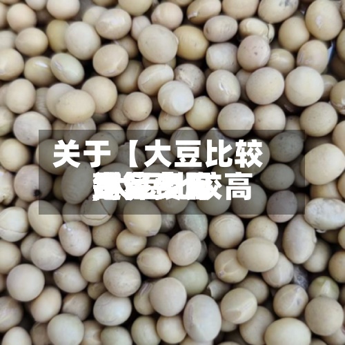 关于【大豆比较高结算费用,大豆比较高结算费用是多少】