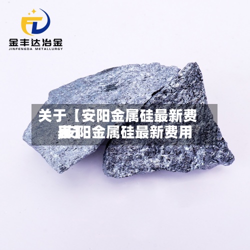 关于【安阳金属硅最新费用
,安阳金属硅最新费用
表】-第2张图片