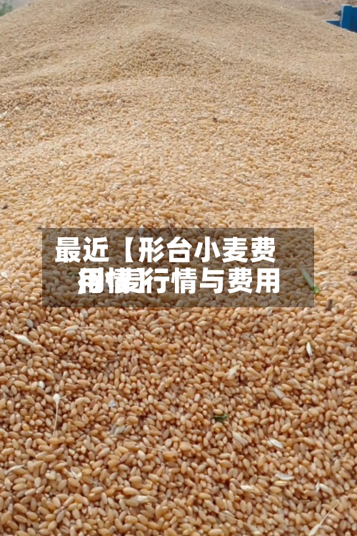 最近【形台小麦费用
,小麦行情与费用
行情】-第3张图片