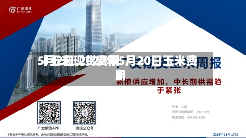 【玉米现货费用5月2日,2022年5月20日玉米费用】