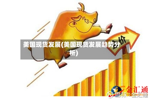 美国现货发展(美国现货发展趋势分析)-第3张图片