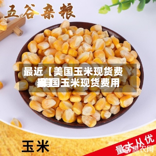 最近【美国玉米现货费用,美国玉米现货费用表】