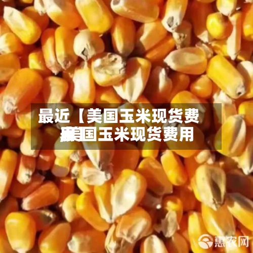 最近【美国玉米现货费用,美国玉米现货费用表】-第2张图片