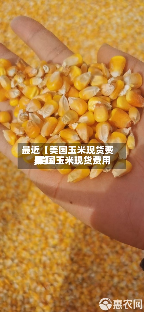 最近【美国玉米现货费用,美国玉米现货费用表】-第3张图片