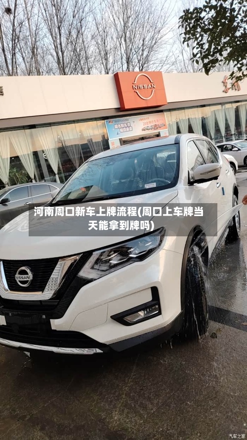 河南周口新车上牌流程(周口上车牌当天能拿到牌吗)