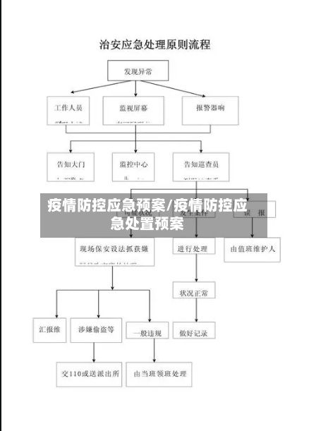 疫情防控应急预案/疫情防控应急处置预案-第2张图片