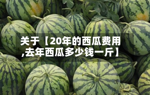 关于【20年的西瓜费用,去年西瓜多少钱一斤】-第2张图片