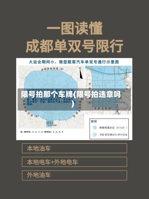 限号拍那个车牌(限号拍违章吗)