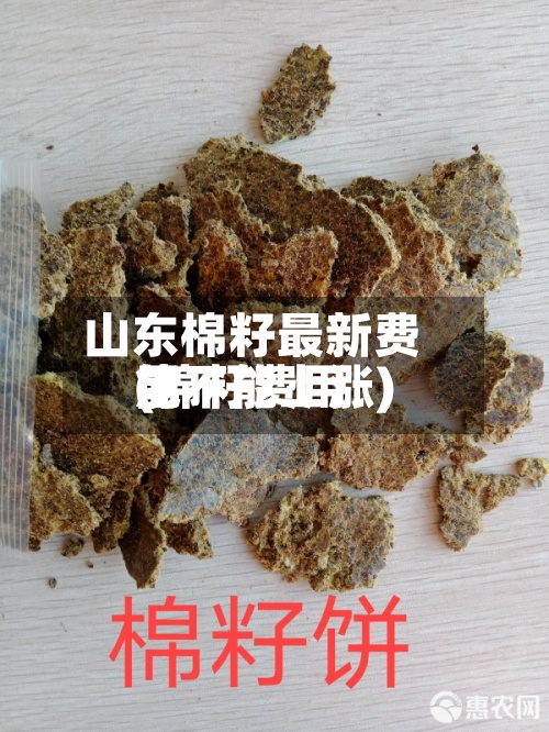 山东棉籽最新费用(棉籽费用能不能上涨)-第2张图片