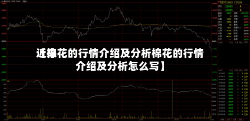 近来【棉花的行情介绍及分析棉花的行情介绍及分析怎么写】-第2张图片