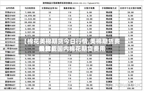 【棉花美棉期货今日行情,美棉期货费用换算成国内棉花期货费用公式】-第2张图片