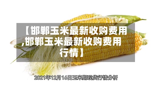 【邯郸玉米最新收购费用,邯郸玉米最新收购费用行情】-第2张图片
