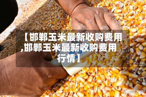 【邯郸玉米最新收购费用,邯郸玉米最新收购费用行情】-第3张图片