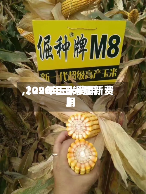 【29年玉米费用,2020年玉米最新费用】